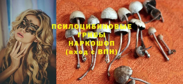 соль ск Алзамай