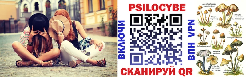 Купить где Остров Галлюциногенные грибы Magic Shrooms
